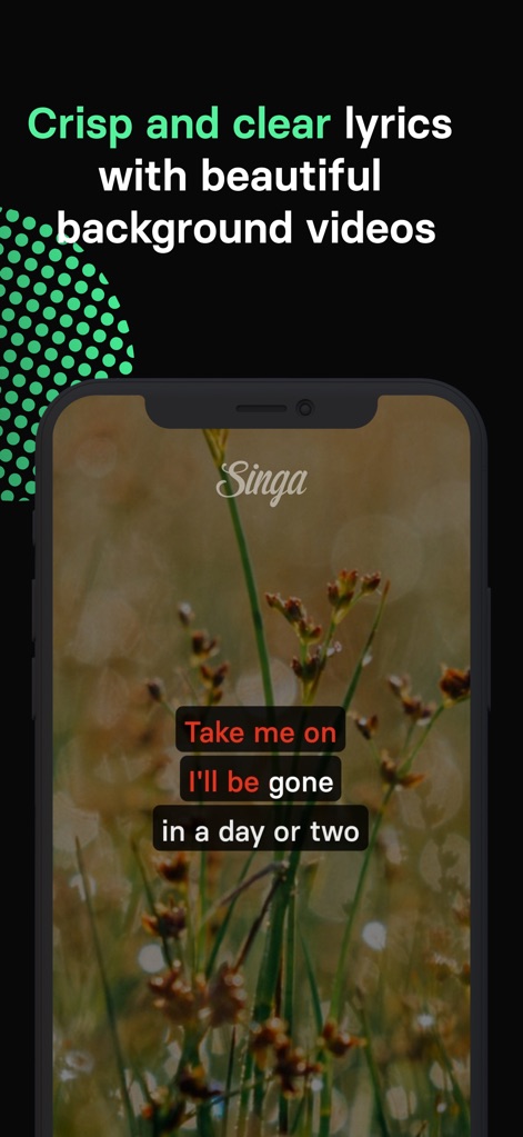 Singa: Sing Karaoke & Lyrics - Witness the crisp, synchronized lyrics against a beautiful, high-definition background video, enhancing the visual singing experience.