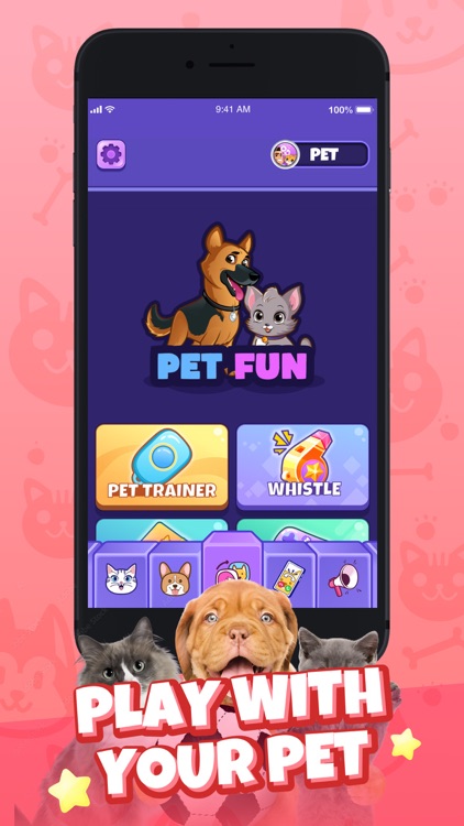 Cat Emotions: Sounds to Pet