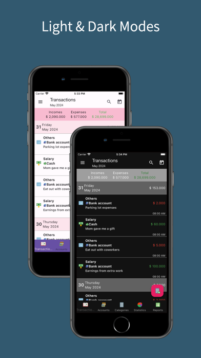 Money Manager Income & Expense Screenshot