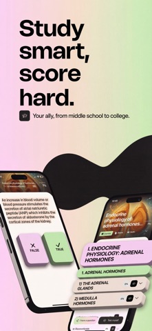 Synapse - Education Screenshot 1 of 8