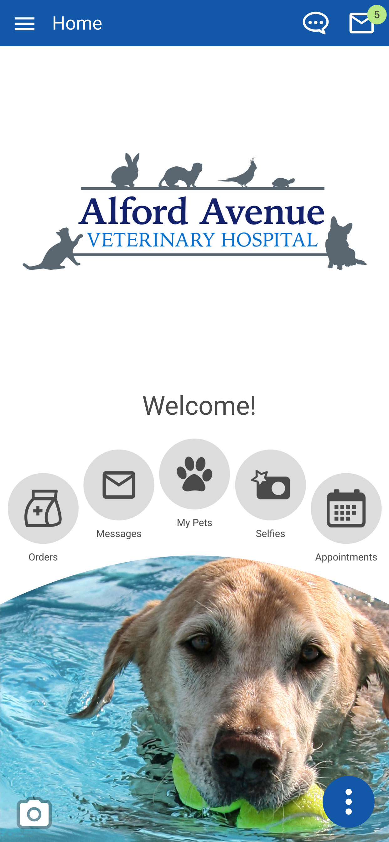 Alford Avenue Vet screenshot 2