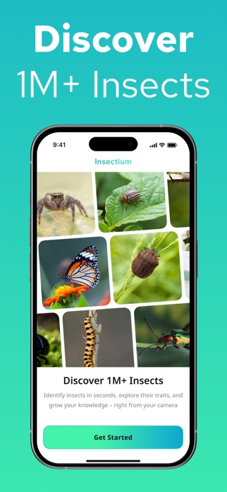 Insect Identifier - Insectium Screenshot 8 of 8
