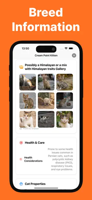 Cat Breed Identifier - Caty screenshot 3