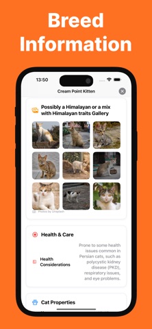 Cat Breed Identifier - Caty iPhone screenshot