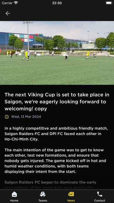 Viking Cup Screenshot