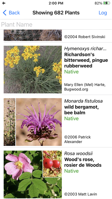 Saskatchewan Wildflowers Screenshot