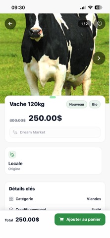Dream Market screenshot