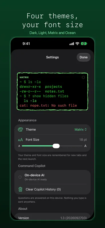SwiftyTerminal: Terminal Shell screenshot 9 of 10