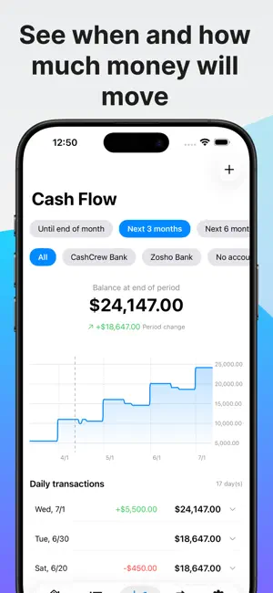 CashCrew - Future Cash Flow screenshot 4