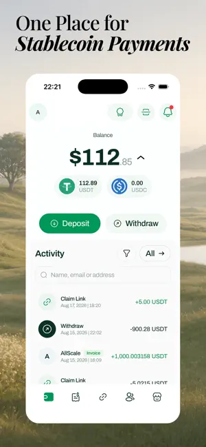 AllScale: Stablecoin Payments screenshot 1