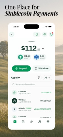 AllScale: Stablecoin Payments preview