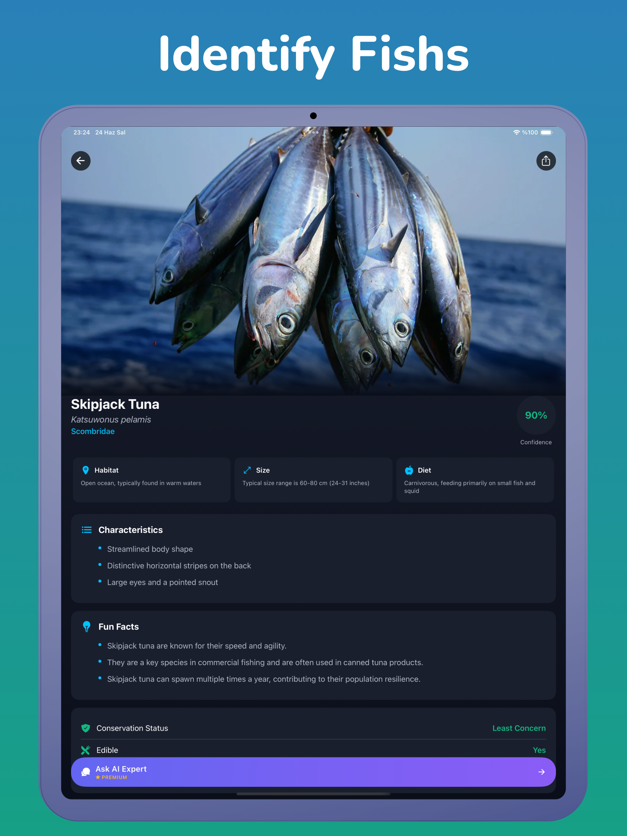 Fish Identifier: ID Australia