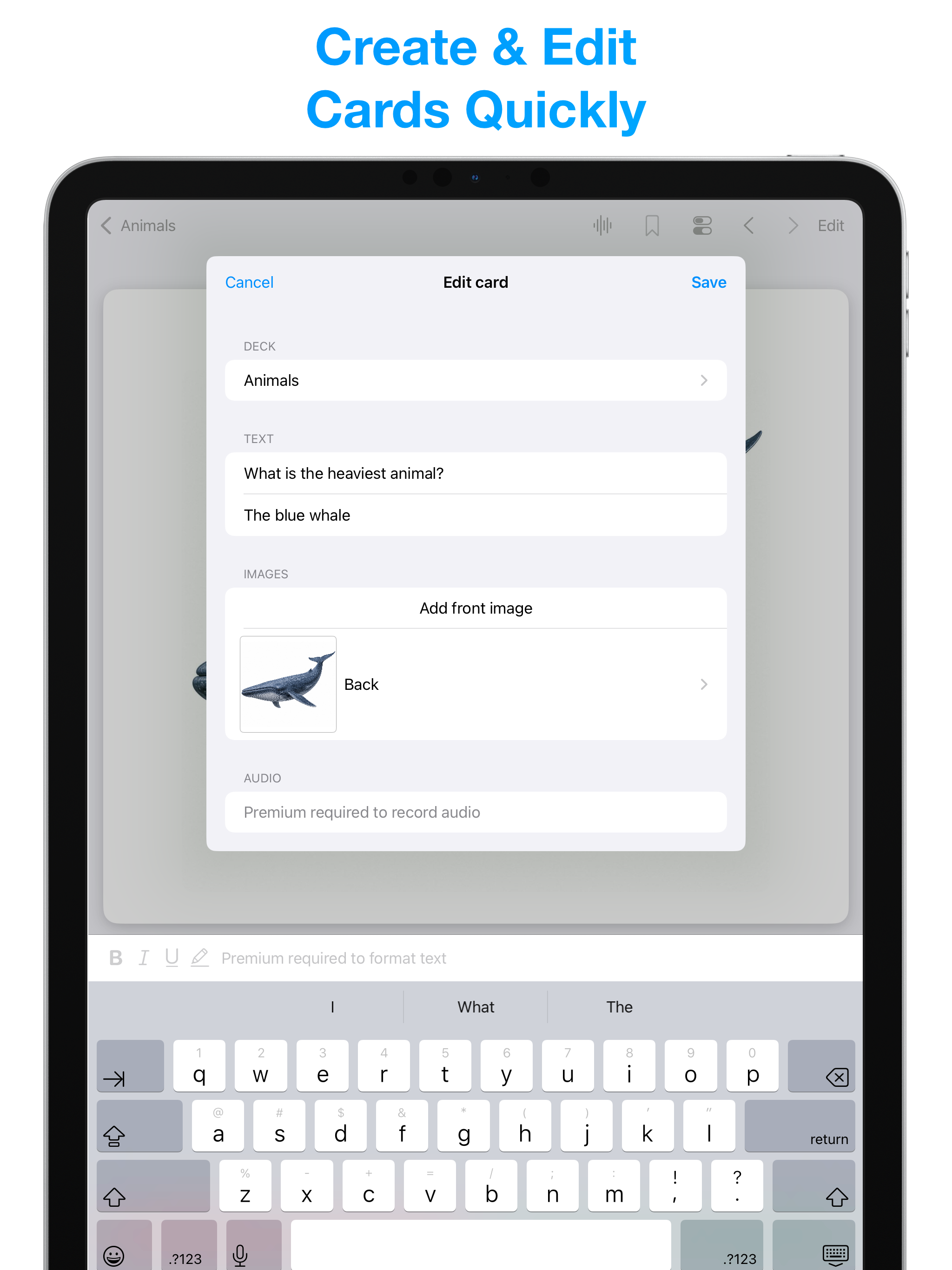 Amazing Flash Cards screenshot 13