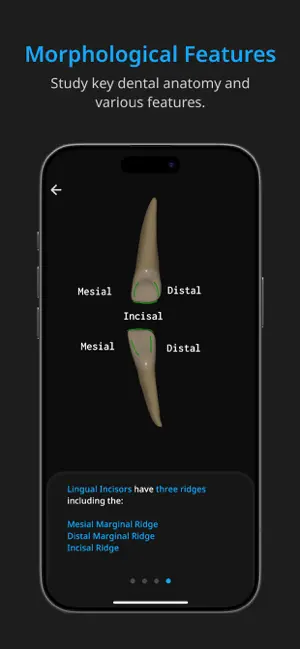 OneScreen screenshot 4