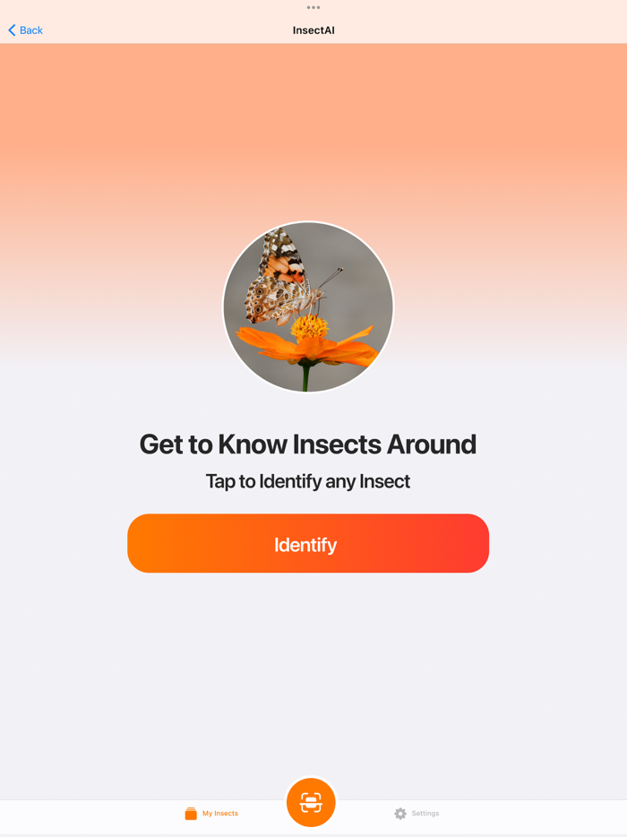 Insect - Bug Identifier