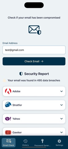 Leak Lock - Email Check screenshot