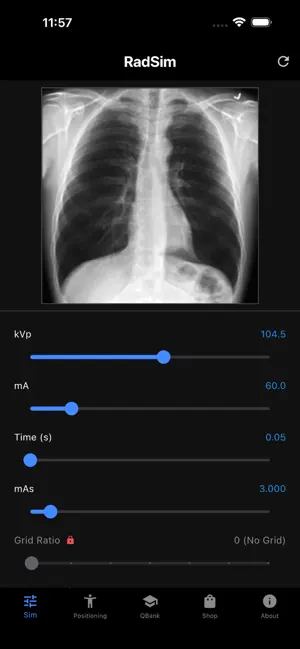 RadSim screenshot 1