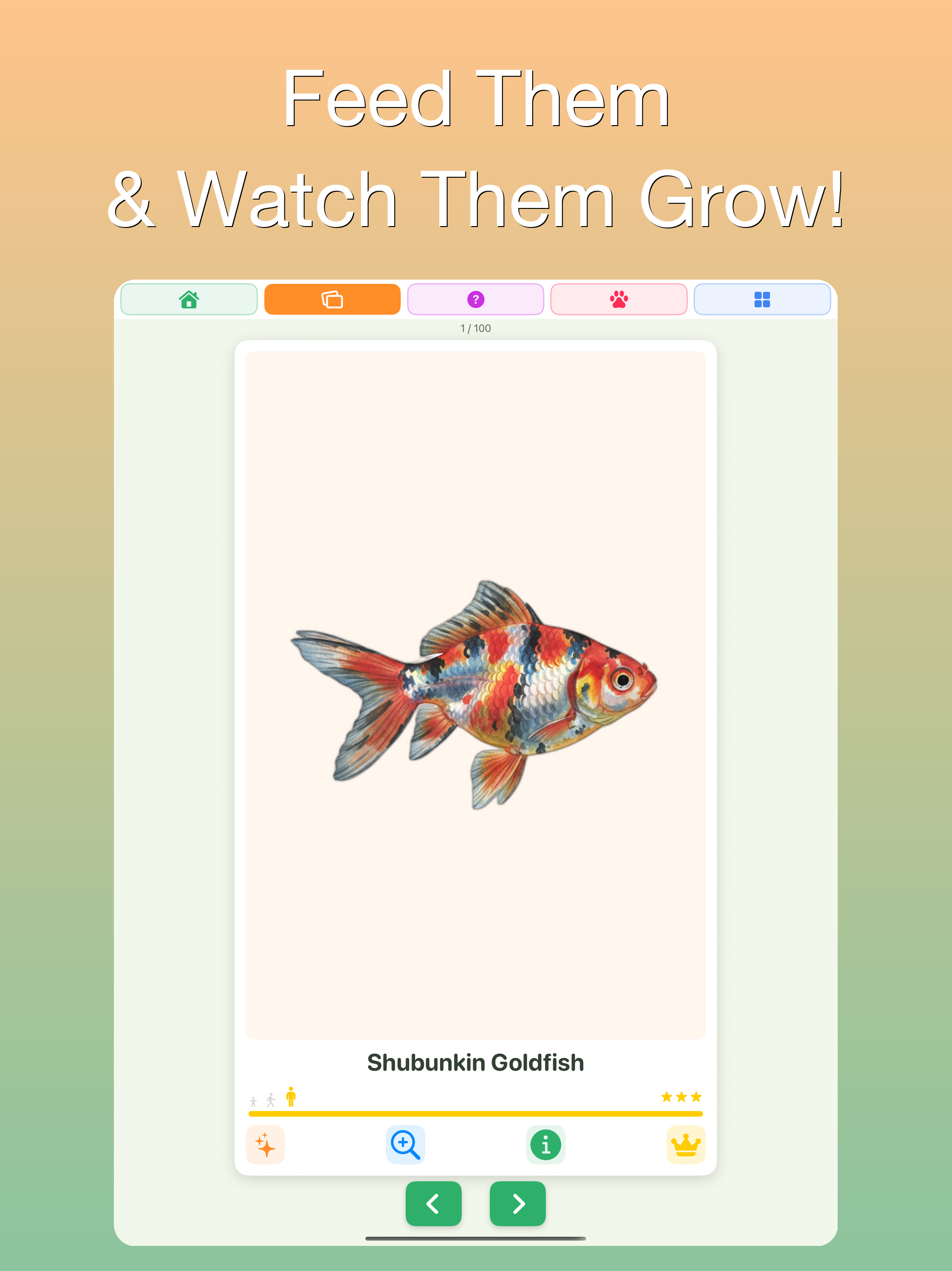 GrowLearn screenshot 10