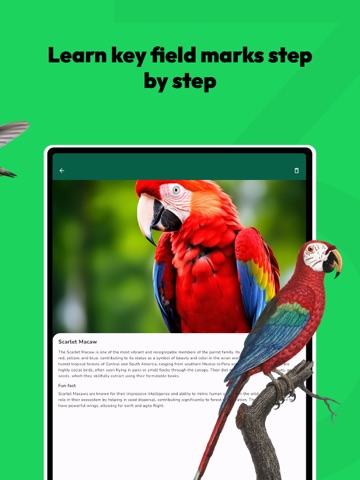 Bird Identifier - Ornithology iPad screenshot