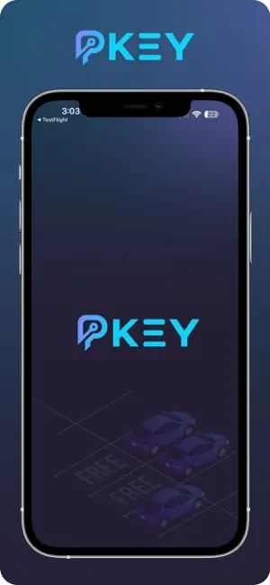 Pkey - Parking Spot screenshot 1