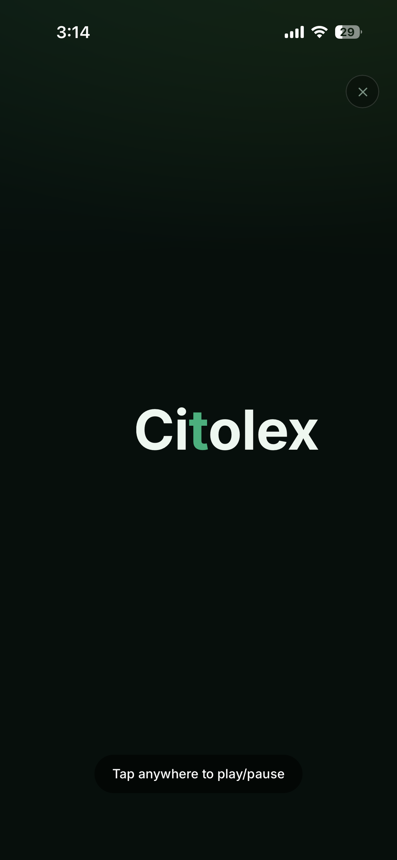 Citolex screenshot 2