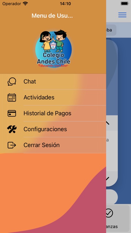 Colegio Andes Chile screenshot-3