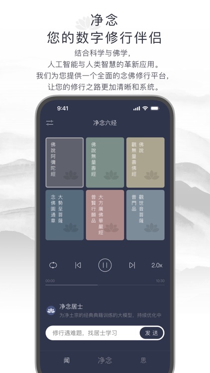 净念-念佛修行，佛经问答解压