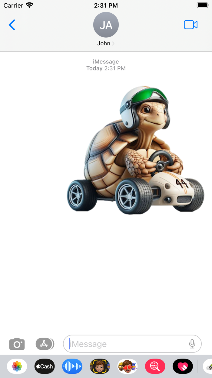 Tortoise Racer Stickers