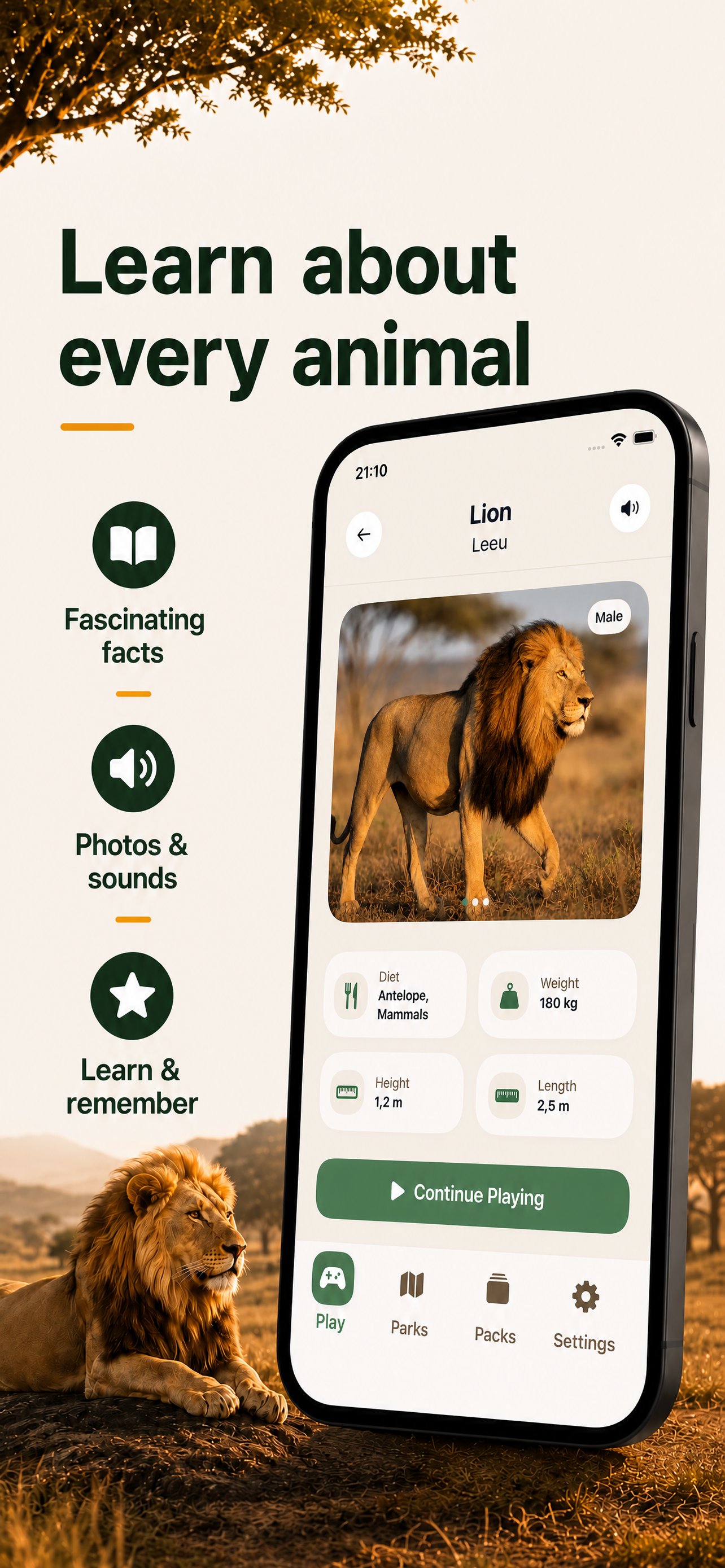 Safari Bingo: Wildlife Game screenshot 3