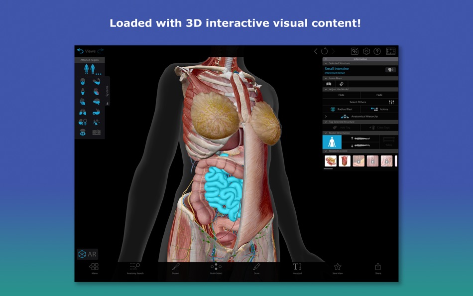 #1. 3D Human Anatomy Atlas 2026 (macOS) 由: Visible Body Apps
