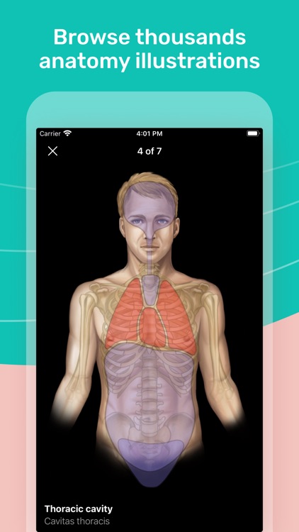 Easy Anatomy 3D