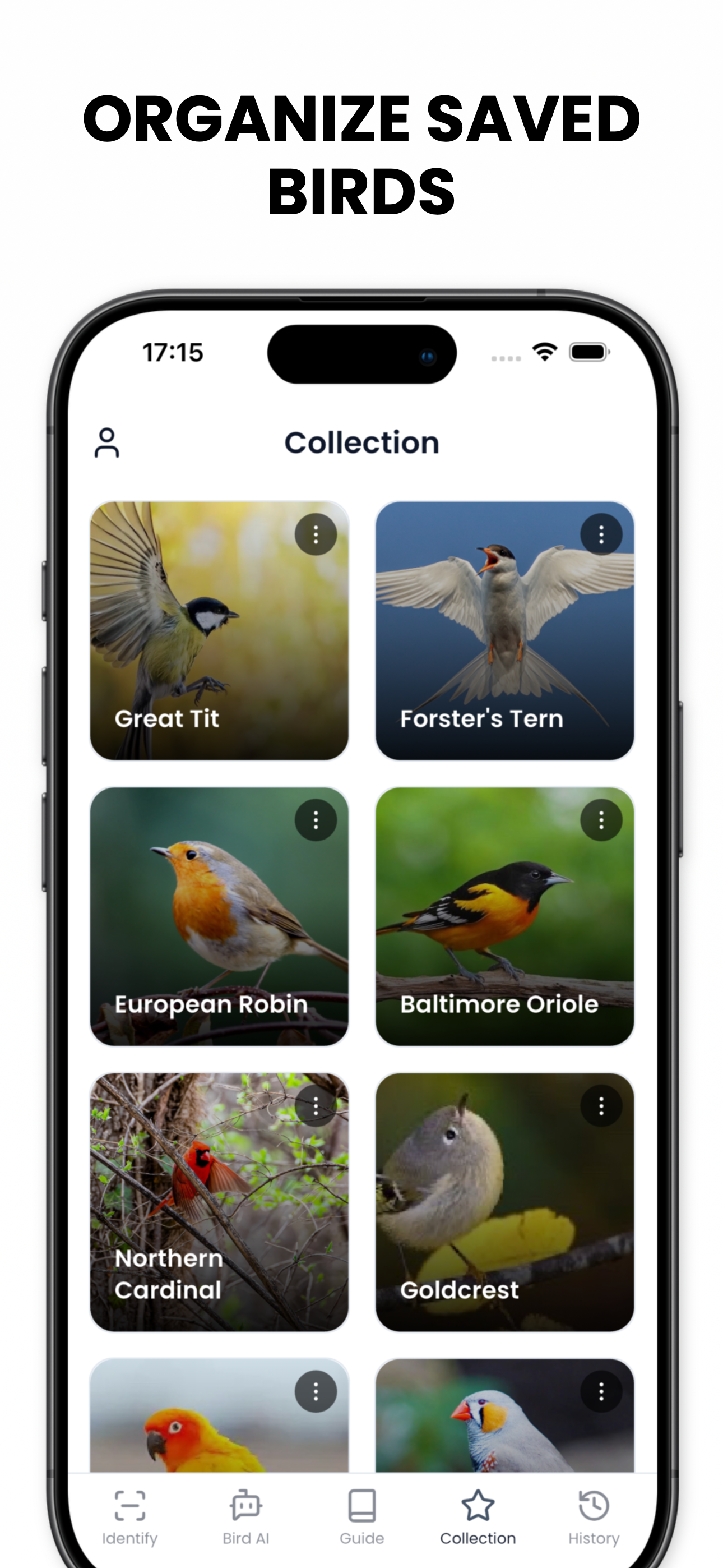Bird Identifier AI - Birdby
