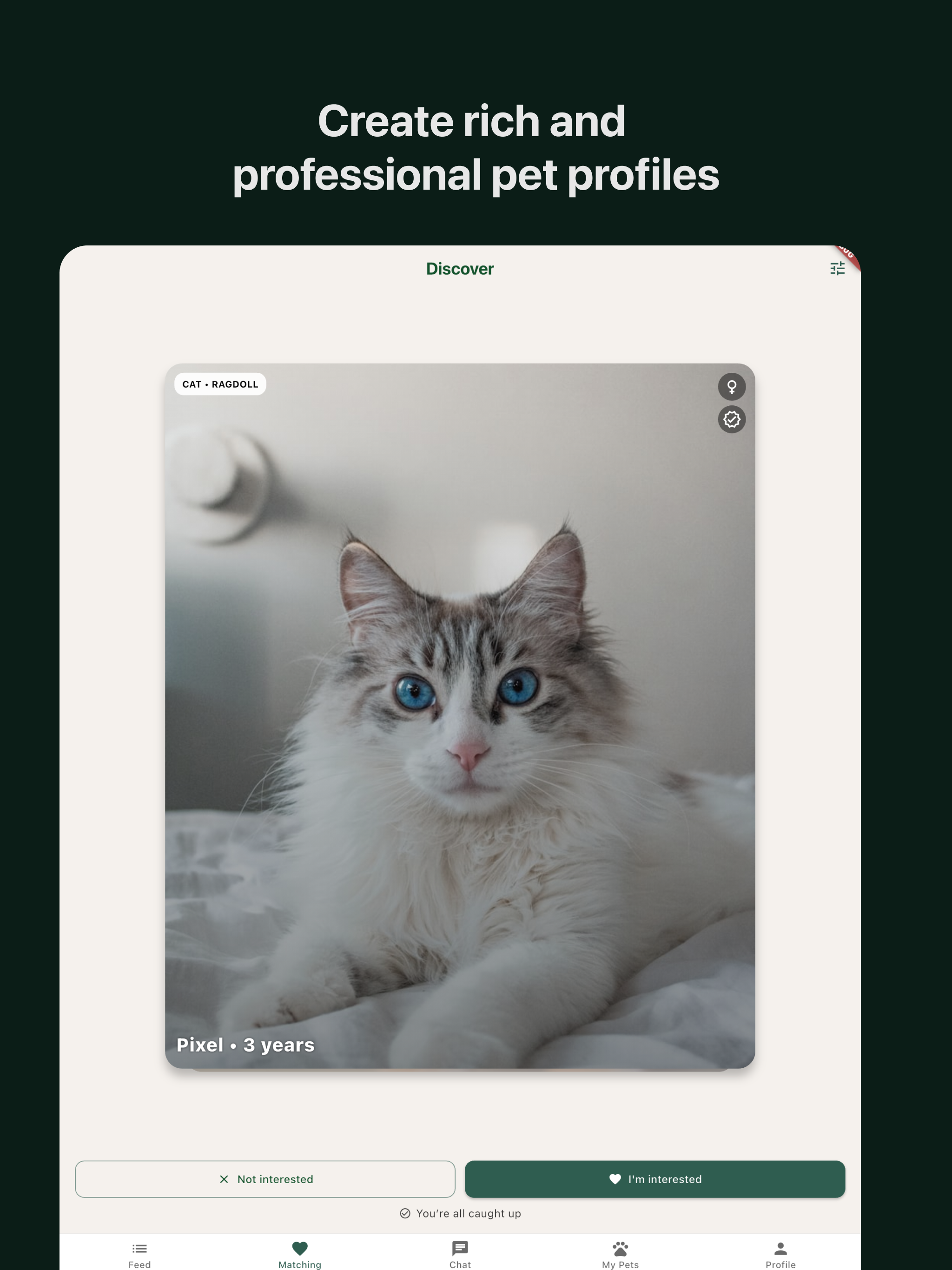 Pet Society - Meet Pet Lovers