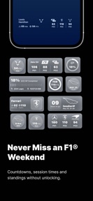 Formula Widgets F1: Lights Out screenshot