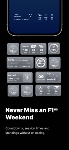 Formula Widgets F1: Lights Out screenshot