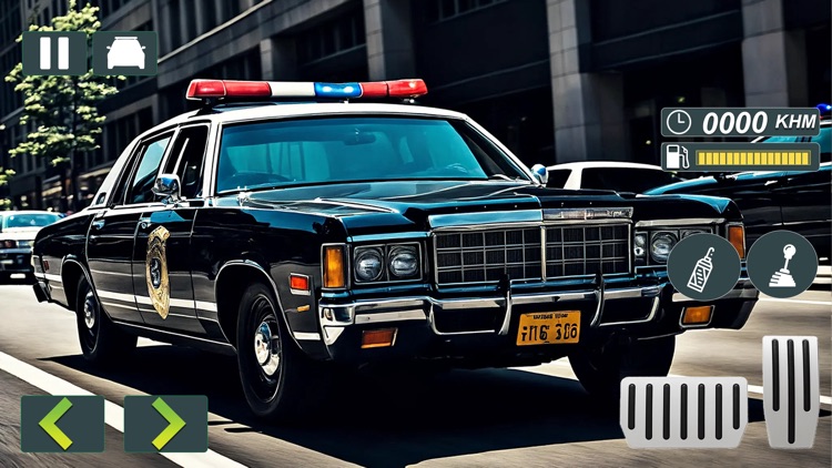 US Police Patrol Simulator screenshot-3