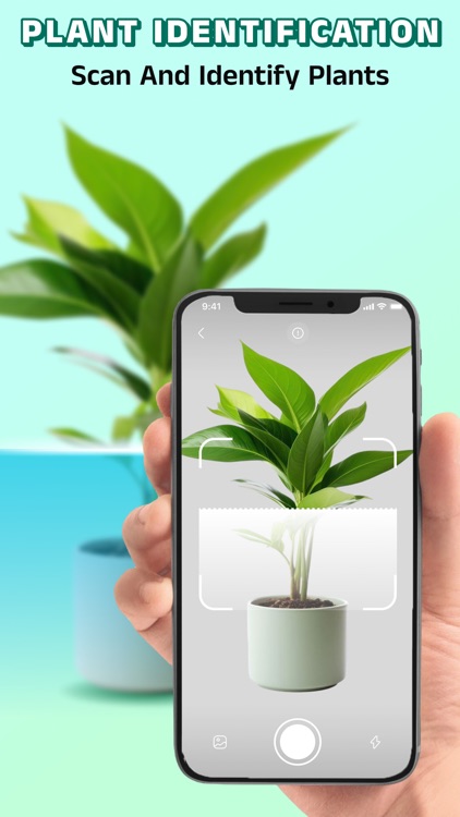 Plant ID: AI Plant Identifier