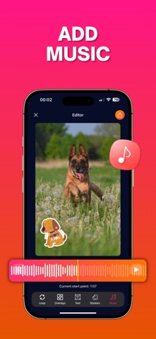 Loop Video Maker - Loopiq iPhone screenshot