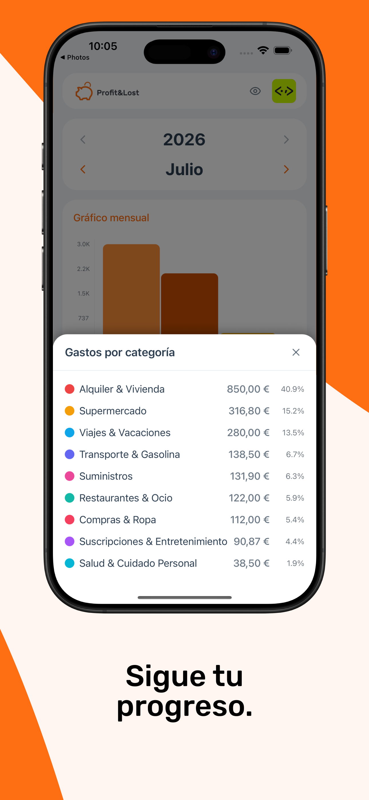 Control de gastos Profit&Lost screenshot 9