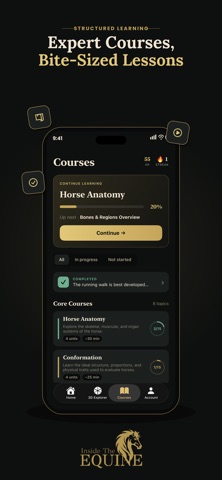 Inside The Equine Screenshot 3 of 8