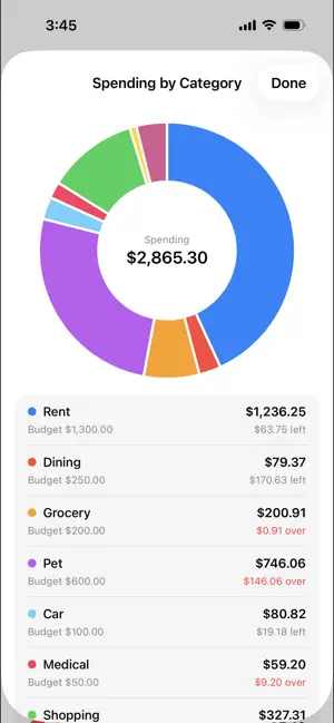 EasyBudget: Cash Flow screenshot 2