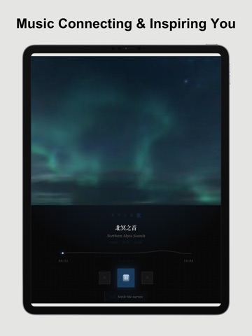 Sonoqi - Music Connection Tune iPad screenshot