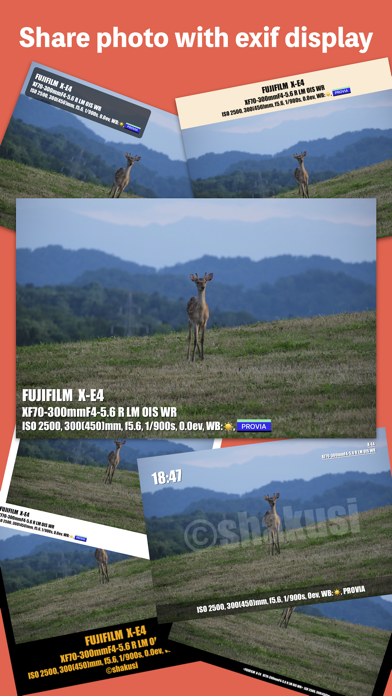 Screenshot #2 pour DualPhotoCalendar