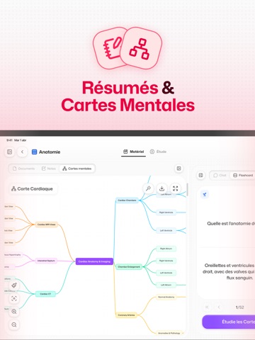 Flashka - AI Flashcards Maker iPad screenshot 4