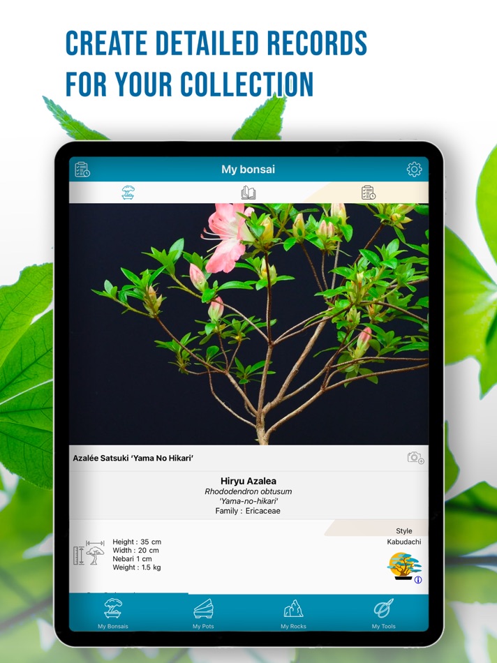 #2. Appy Bonsai (iOS) 由: Appy Bonsai