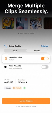 Offline Video Converter & Tool screenshot