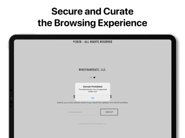 WebFrame Pro Kiosk Screenshot 3