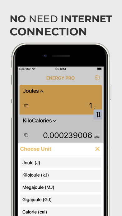 Screenshot #2 pour Energy Converter Joule Kcal