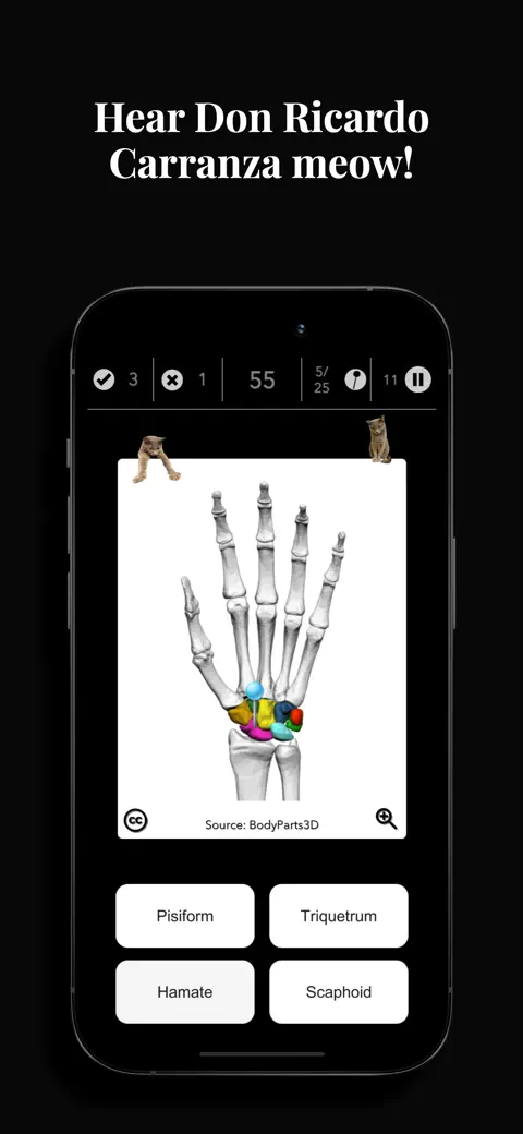 210+ Best Muscle Anatomy Games Apps & Games for iPhone (2026) | Free ...