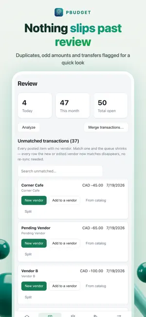 PBudget screenshot 3